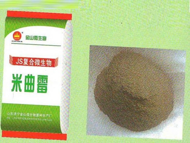 點擊查看詳細信息<br>標題：米曲霉 閱讀次數：2115